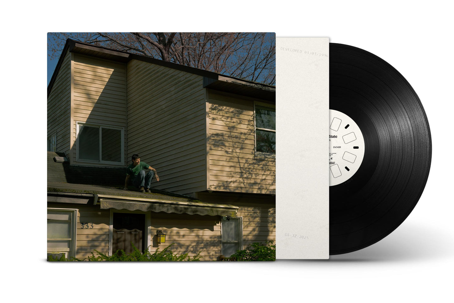 Jeremy Zucker- Garden State (Black Vinyl) ( LP )
