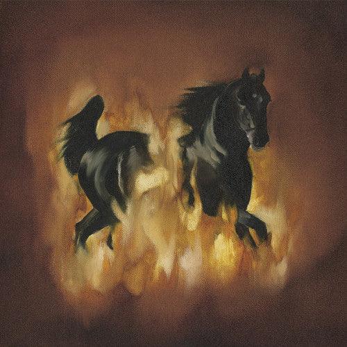 The Besnard Lakes- The Besnard Lakes Are The Dark Horse ( LP )
