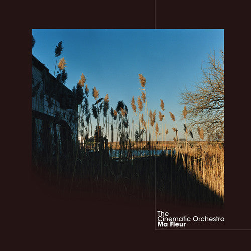The Cinematic Orchestra- Ma Fleur ( LP )