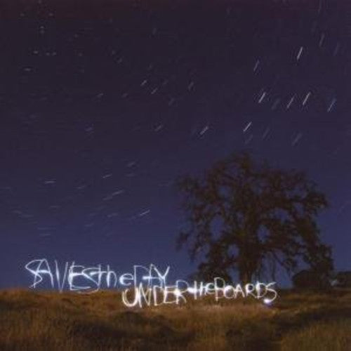 Saves the Day: Under the Boards - VINYL