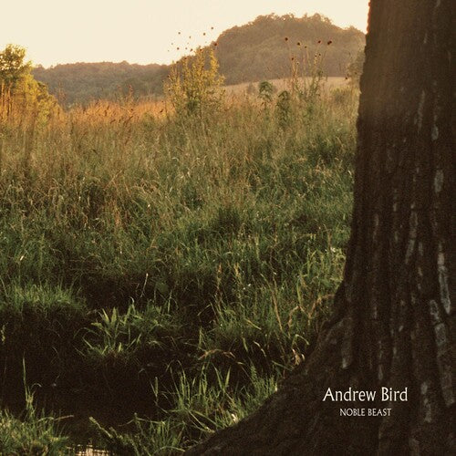 Andrew Bird: Noble Beast - COMPACT DISCS