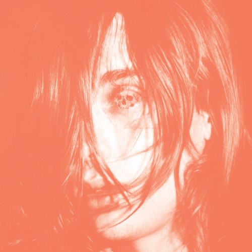 Deerhunter- Microcastle ( LP )