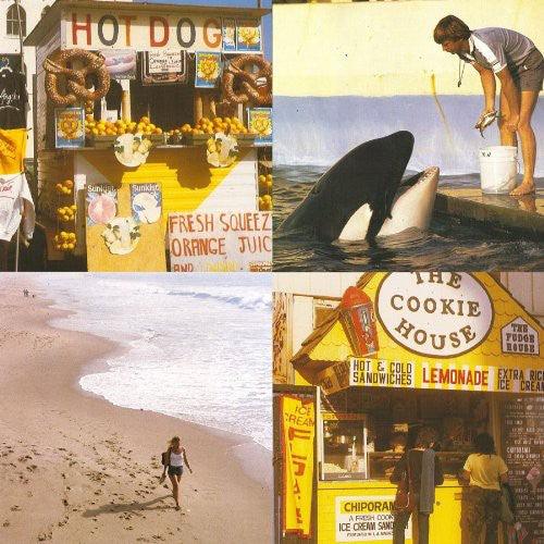 Best Coast- Something in the Way ( LP )