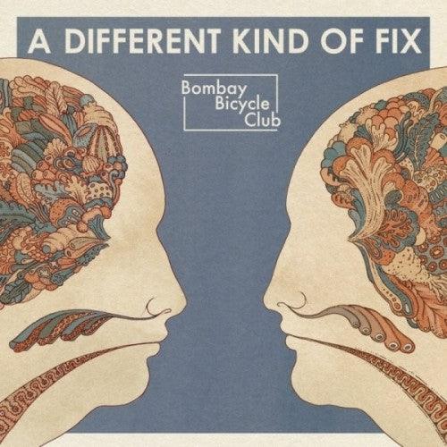 Bombay Bicycle Club- Different Kind of Fix ( LP )