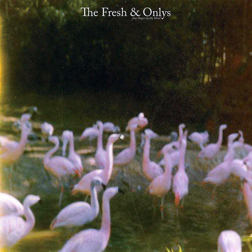 The Fresh & Onlys- August in My Mind ( LP )