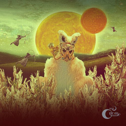 Mr Gnome- Madness in Miniature ( LP )