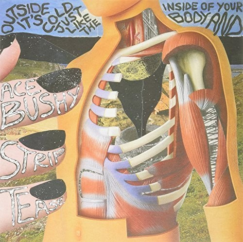Ace Bushy Striptease: Outside It's Cold Just Like the Inside of Your Bod { Record }