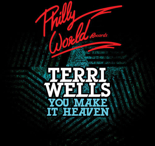 Terri Wells: You Make It Heaven - CD