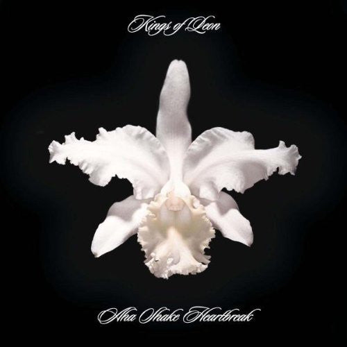 Kings of Leon: Aha Shake Heartbreak { Record }