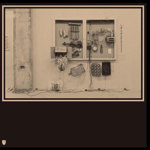 David Van Tieghem- Fits & Starts ( LP )