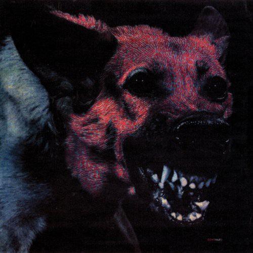Protomartyr- Under Color of Official Right ( LP )