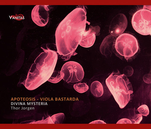Divina Mysteria / Jorgen / Amilcar / Gomez: Apoteosis: Viola Bastarda in 16th Century - COMPACT DISCS