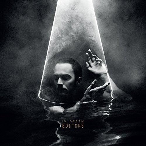 Editors- In Dream ( LP )