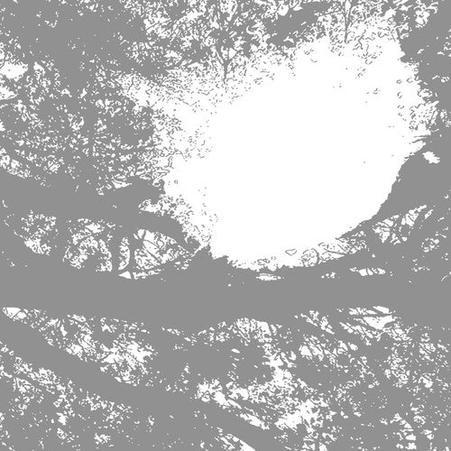 Comets on Fire- Field Recordings from the Sun ( LP )