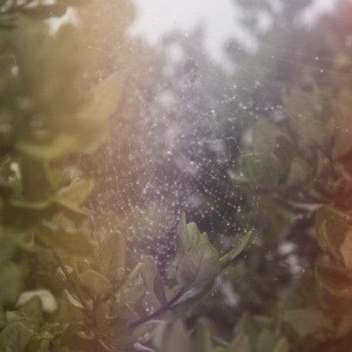 Posse- Perfect H / Voices ( LP )