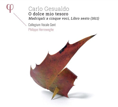 Gesualdo / Collegium Vocale Gent / Herreweghe: Carlo Gesualdo: O Dolce Mio Tesoro - COMPACT DISCS