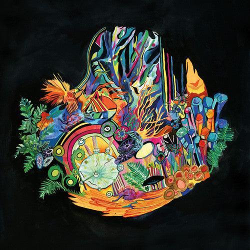 Kaitlyn Aurelia Smith- Ears ( LP )