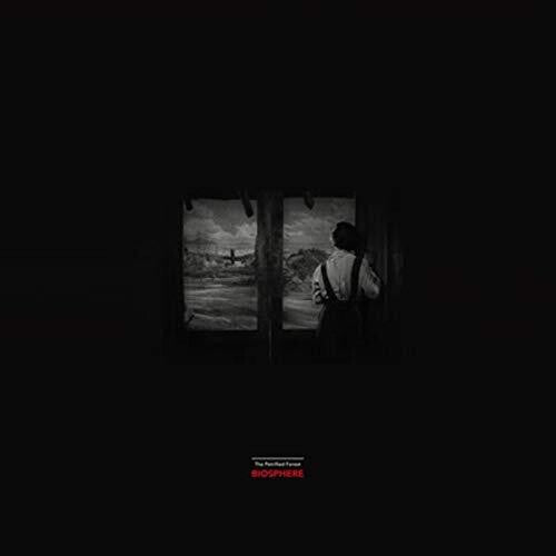 Biosphere: Petrified Forest { Record }