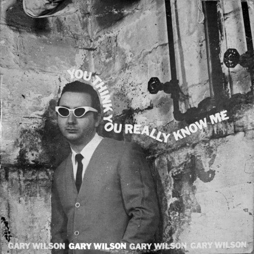 Gary Wilson- You Think You Really Know Me ( LP )