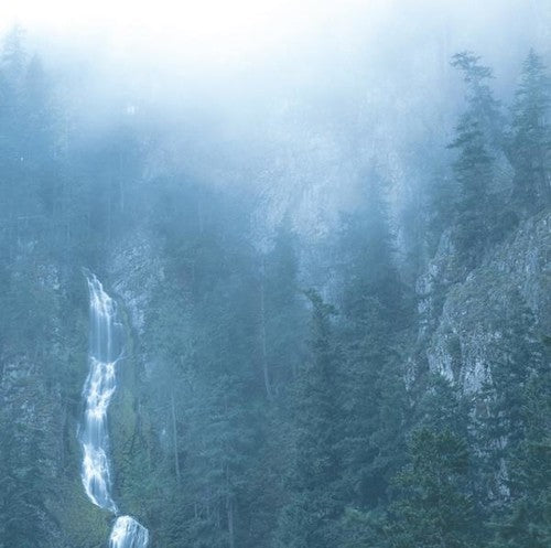 Wolves In The Throne Room- Diadem Of 12 Stars ( LP )