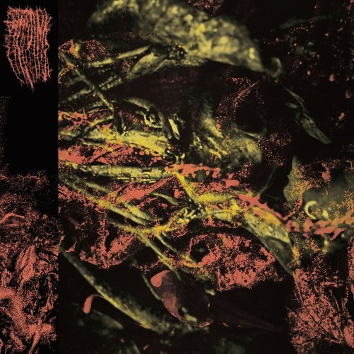 Hissing- Permanent Destitution ( LP )
