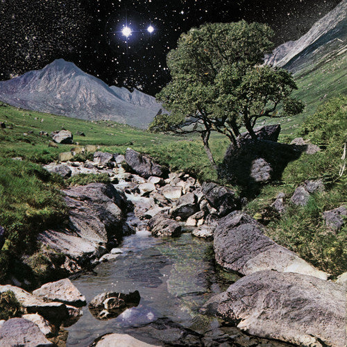 The Beta Band: The Beta Band - VINYL