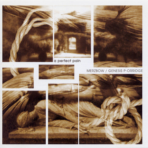 Merzbow / Genesis Breyer P-Orridge: A Perfect Pain { Record }