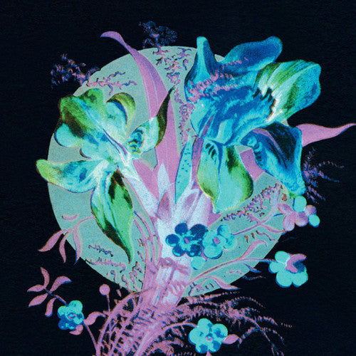 Hannu Karjalainen: Handful Of Dust Is A Desert { Record }