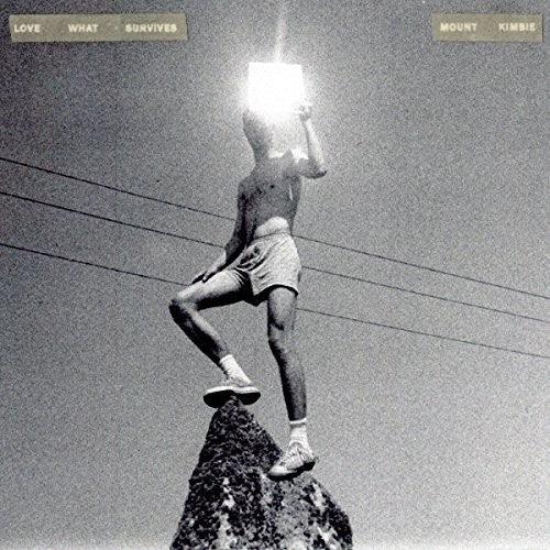 Mount Kimbie- Love What Survives ( LP )