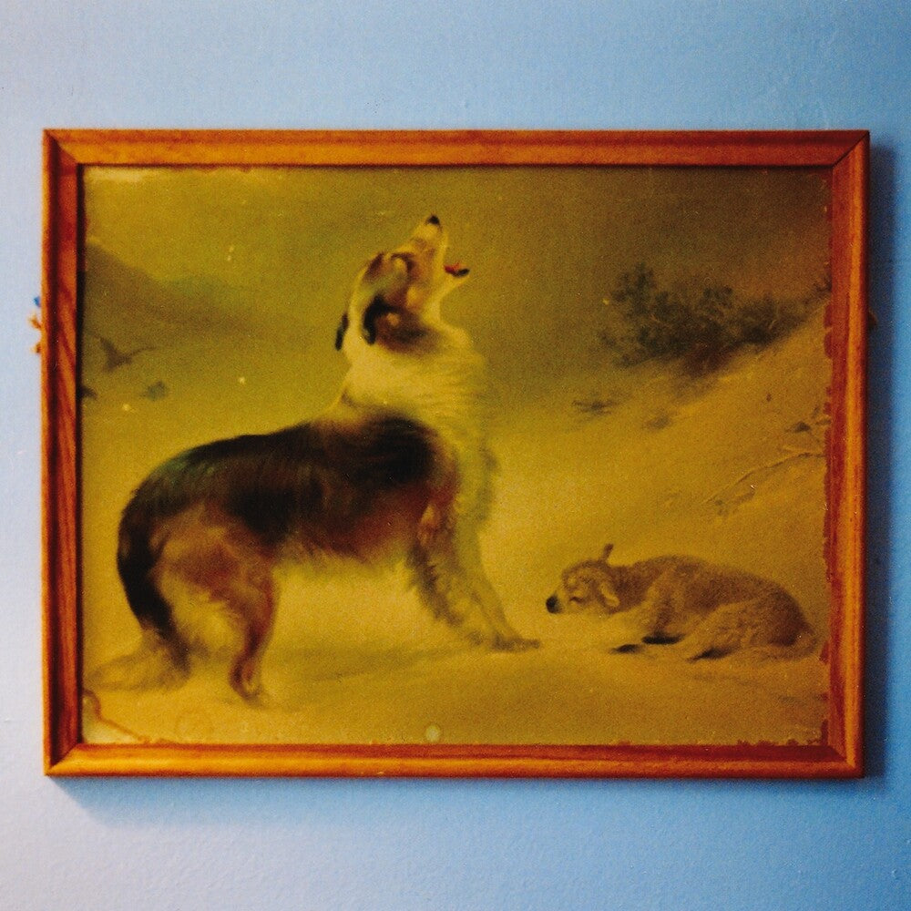 Explosions In The Sky- Rescue (Org) ( LP )