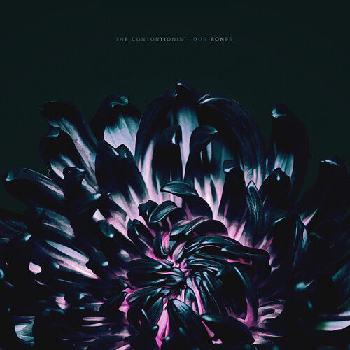 The Contortionist: Our Bones - VINYL