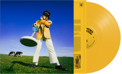 Declan McKenna- What Happened To The Beach? (Indie Exclusive Vinyl) ( LP )