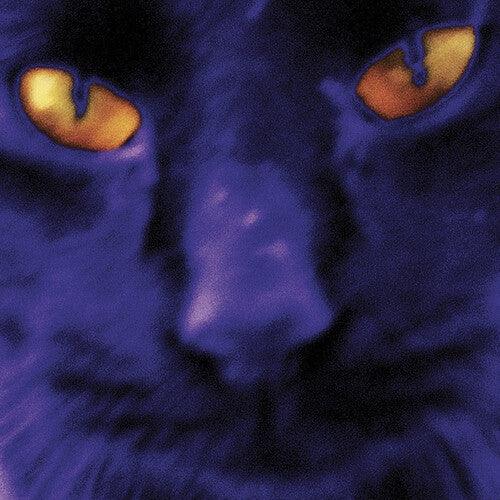 David Kilgour and the Heavy Eights- Bobbie's A Girl ( LP )
