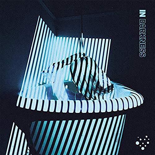 Varials- In Darkness ( LP )
