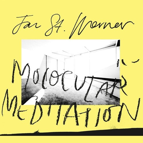 Jan St. Werner: Molocular Meditation { Record }