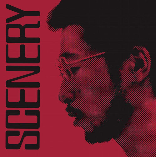 Ryo Fukui: Scenery - CD