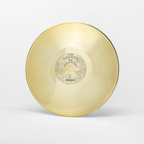 Joywave: Possession - VINYL