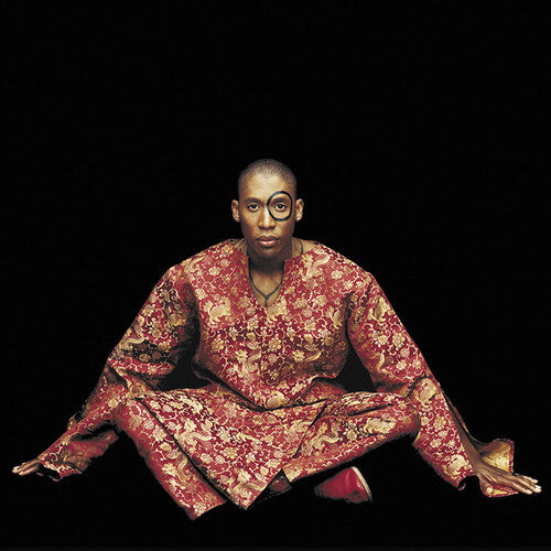 Raphael Saadiq: Instant Vintage - CD