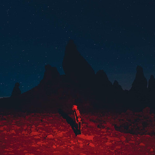 Phoebe Bridgers: Punisher - VINYL