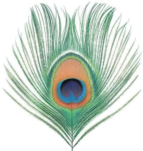XTC- Apple Venus Vol 1 ( LP )