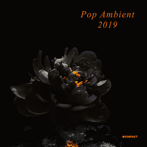 Various Artists: Pop Ambient 2019 (Various Artists) - COMPACT DISCS