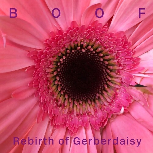 Boof: Rebirth of Gerberdaisy { Record }