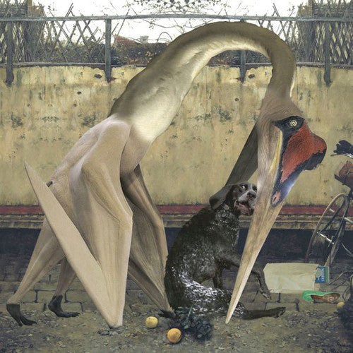 Rhadoo: Semantics { Record }
