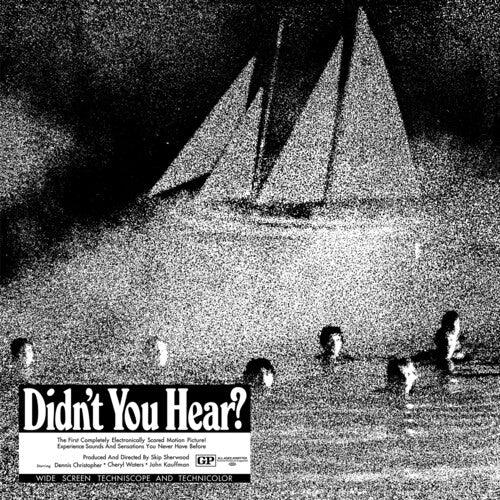Mort Garson- Didn't You Hear? ( LP )