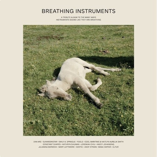 Various Artists: Breathing Instruments (Various Artists) { Record }
