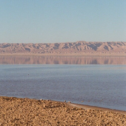 Dampe: Oil - 12-INCH SINGLE