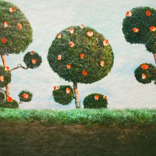 Midnight Sister- Painting the Roses ( LP )