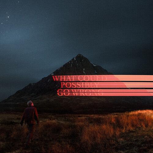 Dominic Fike- What Could Possibly Go Wrong ( LP )