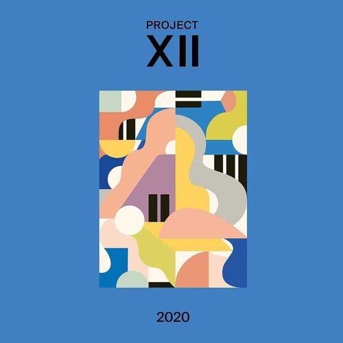 Various Artists: Xii 2020 { Record }