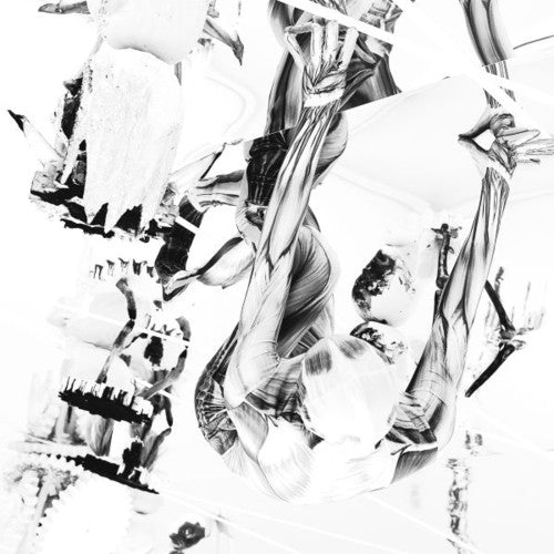 Belp: Crocodile { Record }